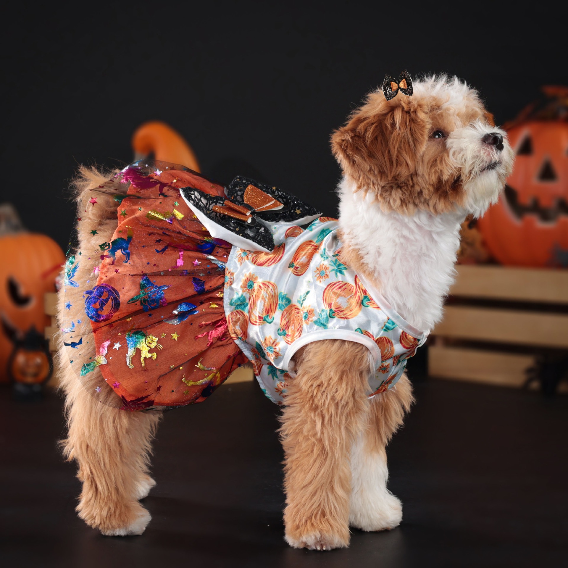 Halloween Dog Dress with Pumpkin Skull Prints Mesh Skirt & Big Bowknot Festive Party Costume for Dogs 1.5-14kg Perfect for Halloween Parties Themed Ev