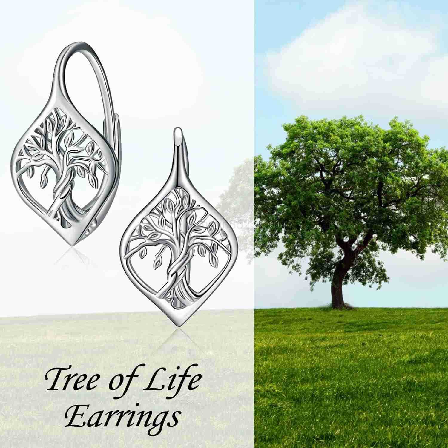 Earring for Women Sterling Silver Dangle Drop Hoop Earrings for Women Birthday Anniversary Christmas GiftsW250911