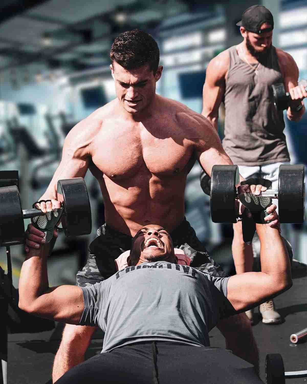 Workout Gloves Weight Lifting Gloves Palm Support Protection for Men Women Exercise Gloves Sports for Training Fitness GymW250911