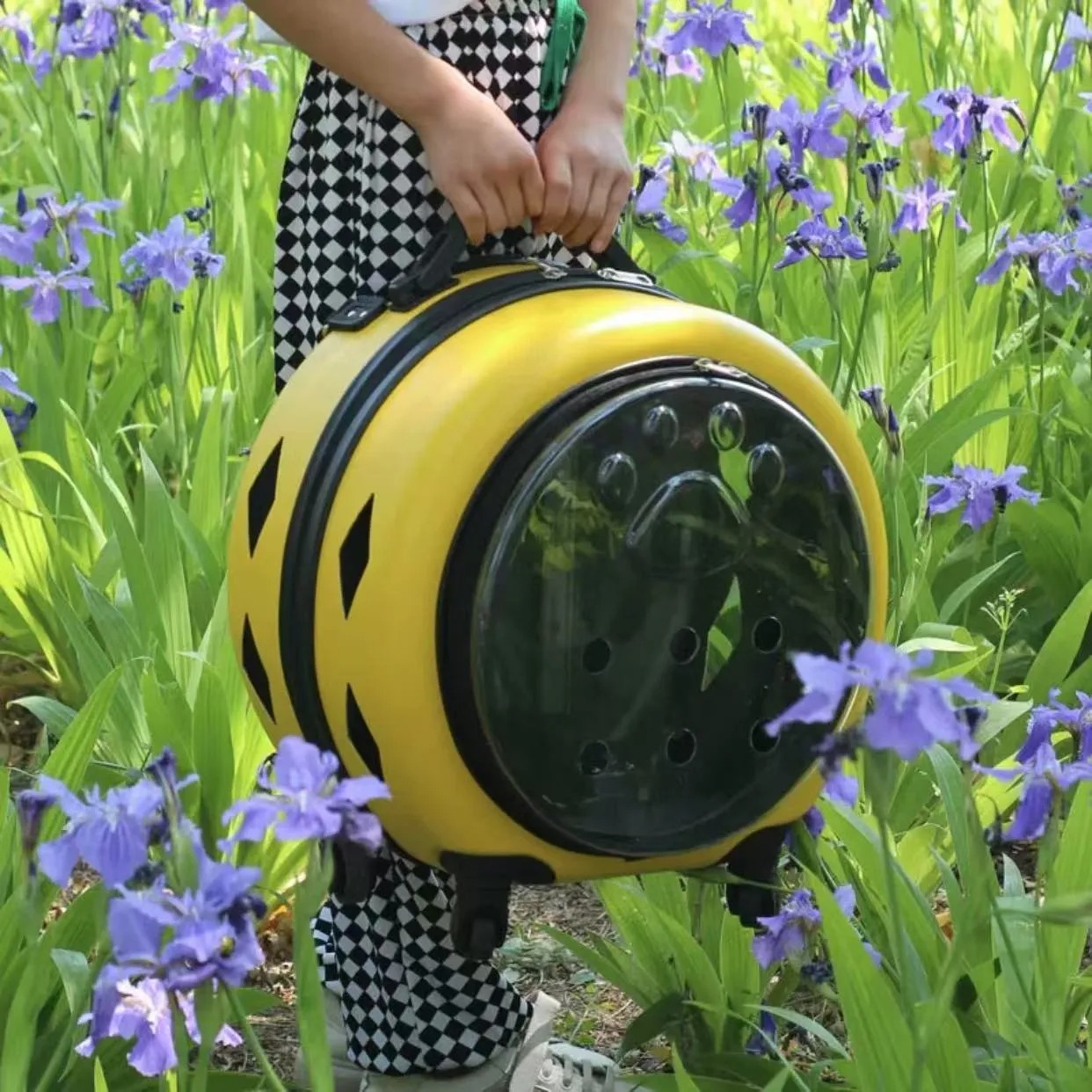 Pet suitcase, transparent cat bag pet carrier portable outdoor box, cat and dog bag cart, small pet suitcase