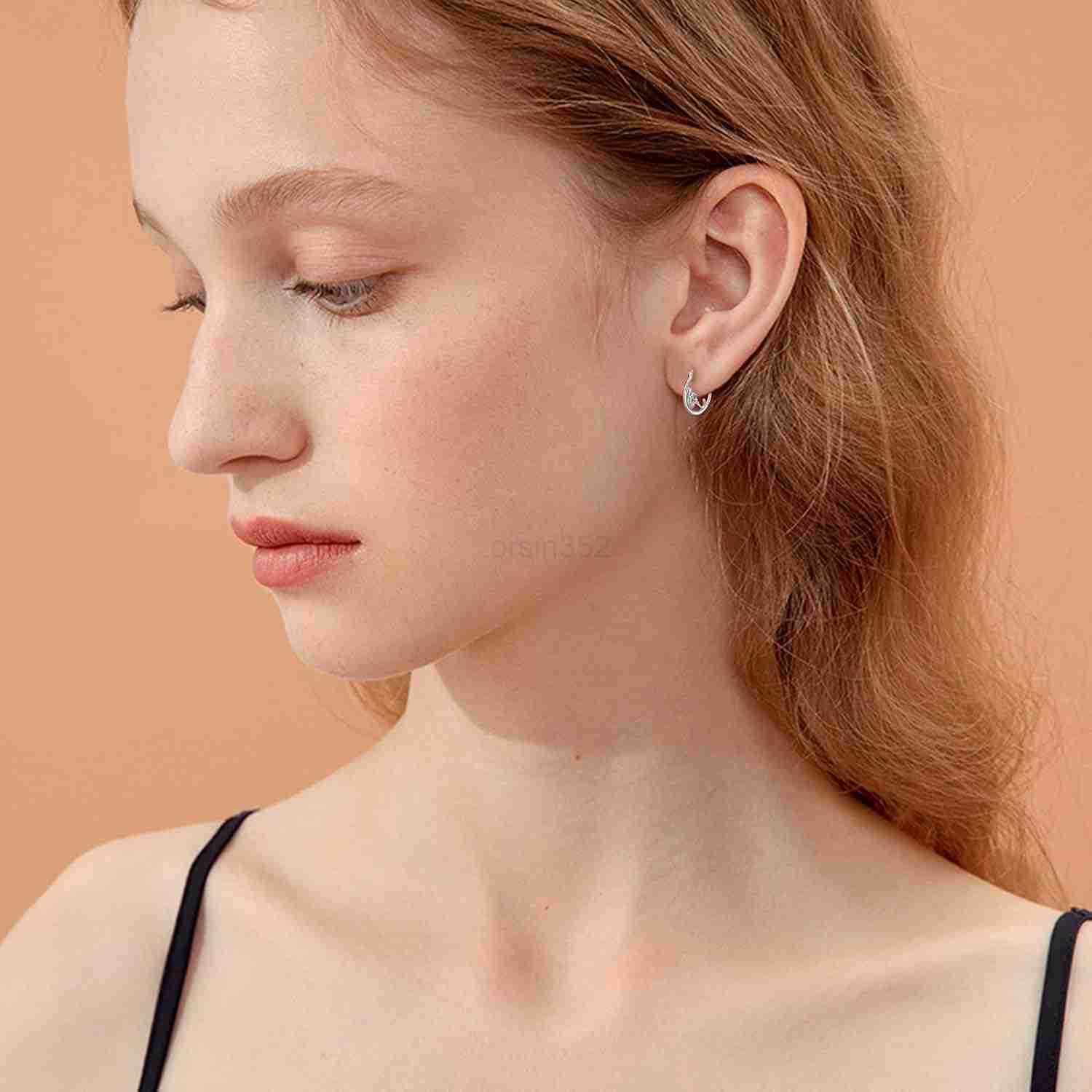 Animal Earrings 925 Sterling Silver HedgehogCatRaccoonMermaidPanda Hoop Earrings Hypoallergenic Hoop Huggie Earrings Animal Jewelry Gifts for WomenW25