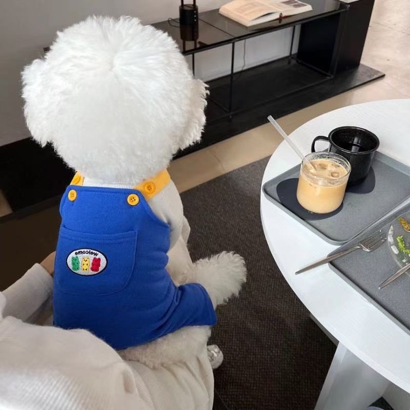 T1185 Original dog clothes autumn and winter small dog small dog Bichon Teddy lace splicing sweatshirt