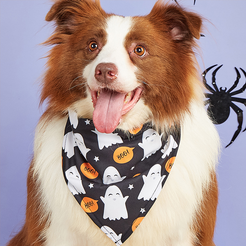 Halloween themed pet bib featuring a white ghost design