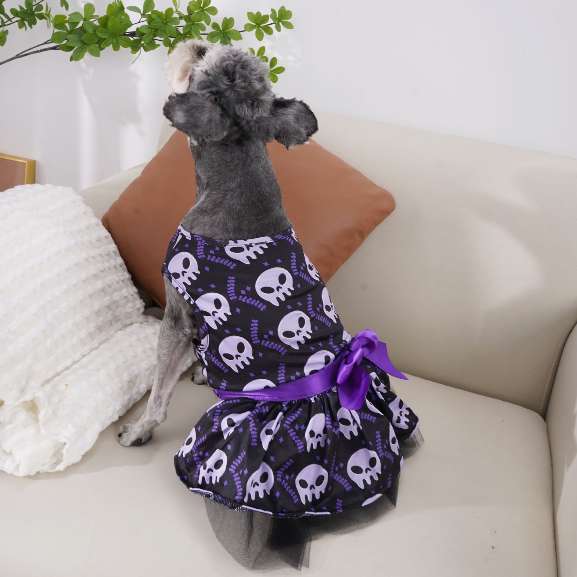 Halloween Dog Dress with Pumpkin Skull Prints Tulle Puff Skirt Big Bowknot Festive Party Costume for Dogs 2-14kg for Halloween Parties Themed Events D