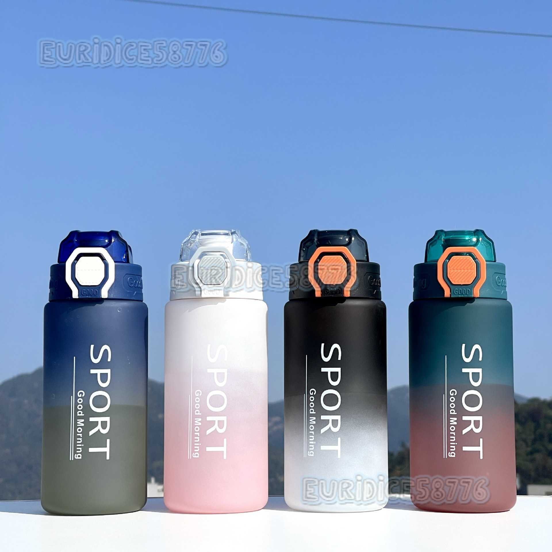 New Outdoor Sports Water Bottle with Tea Infuser Portable Plastic Cup Fashion Gradient Color Matte Leakproof Space Cup H250911