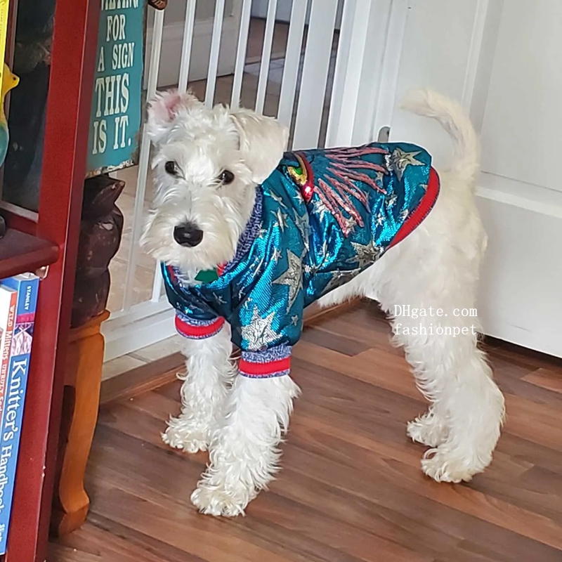 Designer Dog Clothes Superstar Retro Blue Dog Bomber Jacket, Snap Closure, Thick & Warm, 5 Sizes (S-XL) for Dogs 3-20kg, Ideal for French Bulldogs & A