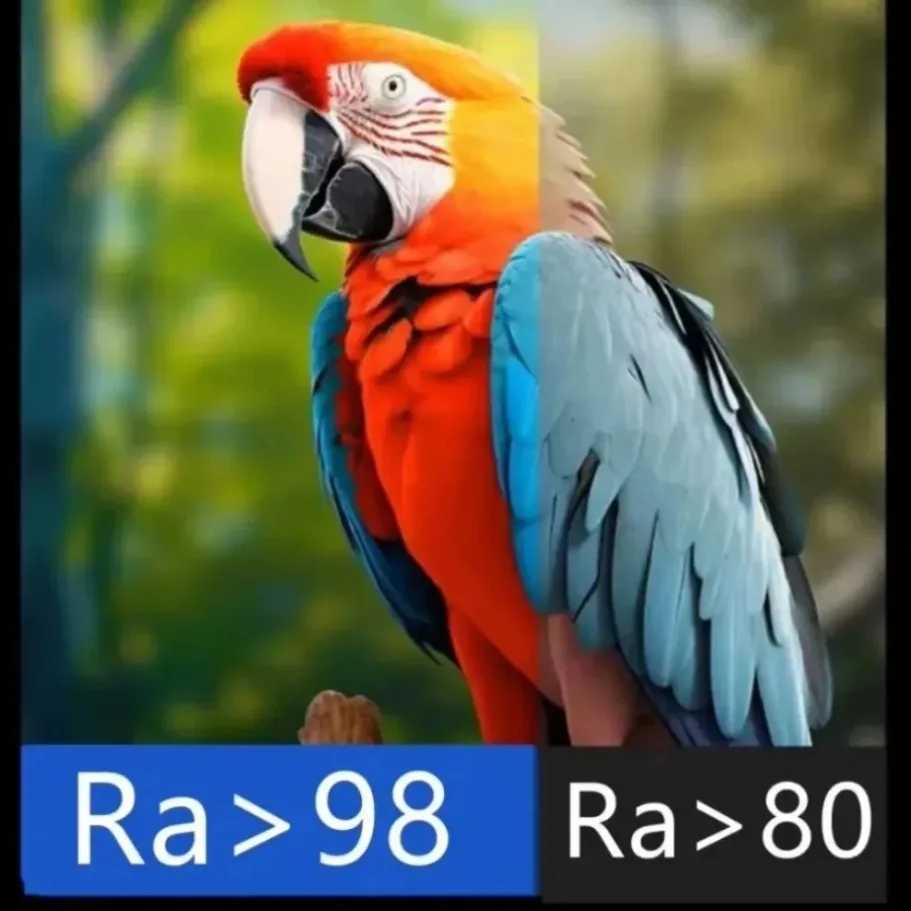 24V Dimmable 3 Color CCT COB LED Strip Light 8mm 10mm Width 2700K To 6500K ColorChanging LED Tape Linear Double Color RA90 C250912