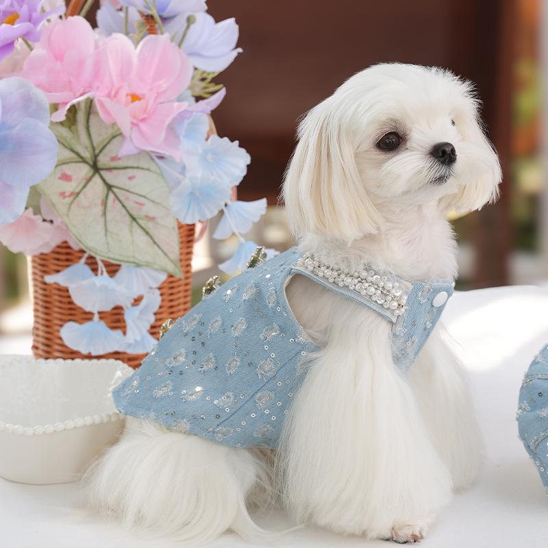 Pet Denim Sequin Vest Cute Beret Dog Autumn and Winter Coat Teddy Schnauzer Pet Small Dog Denim Vest with Fleece Puppy Clothes