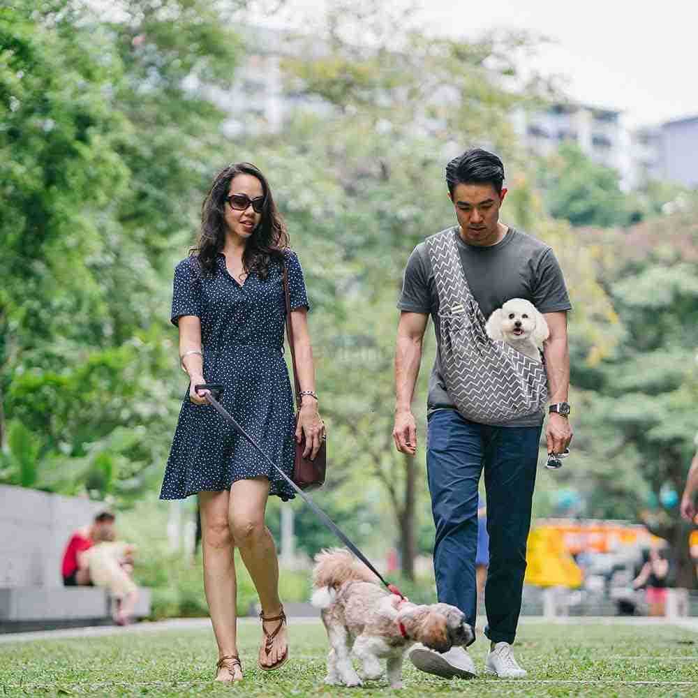 Small Pet Sling CarrierHands Free Reversible Pet Papoose Bag Tote Bag with a Pocket Safety Belt Dog Cat for Outdoor Travel Gray StripeW250912