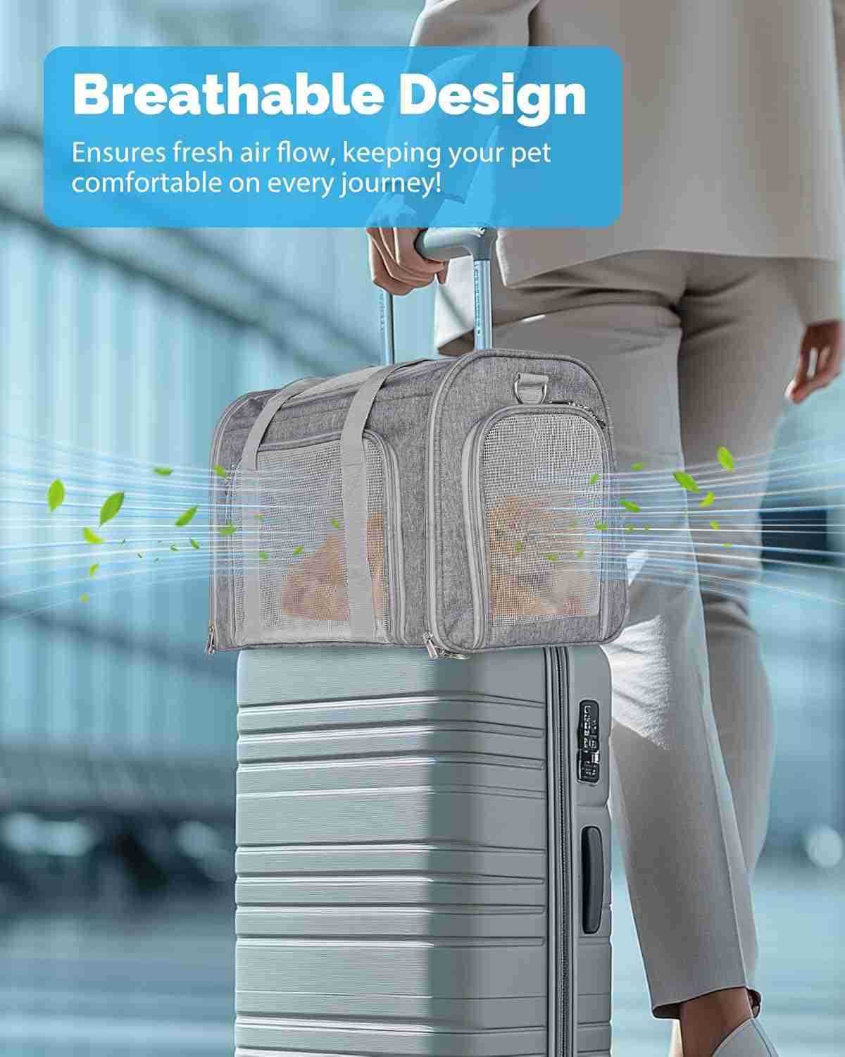 Approved Cat Carrier Soft Sided Pet Travel Bag for Cats and Small Dogs Under 16 lbs TSA Approved Pet Carrier in Cabin GrayW250912