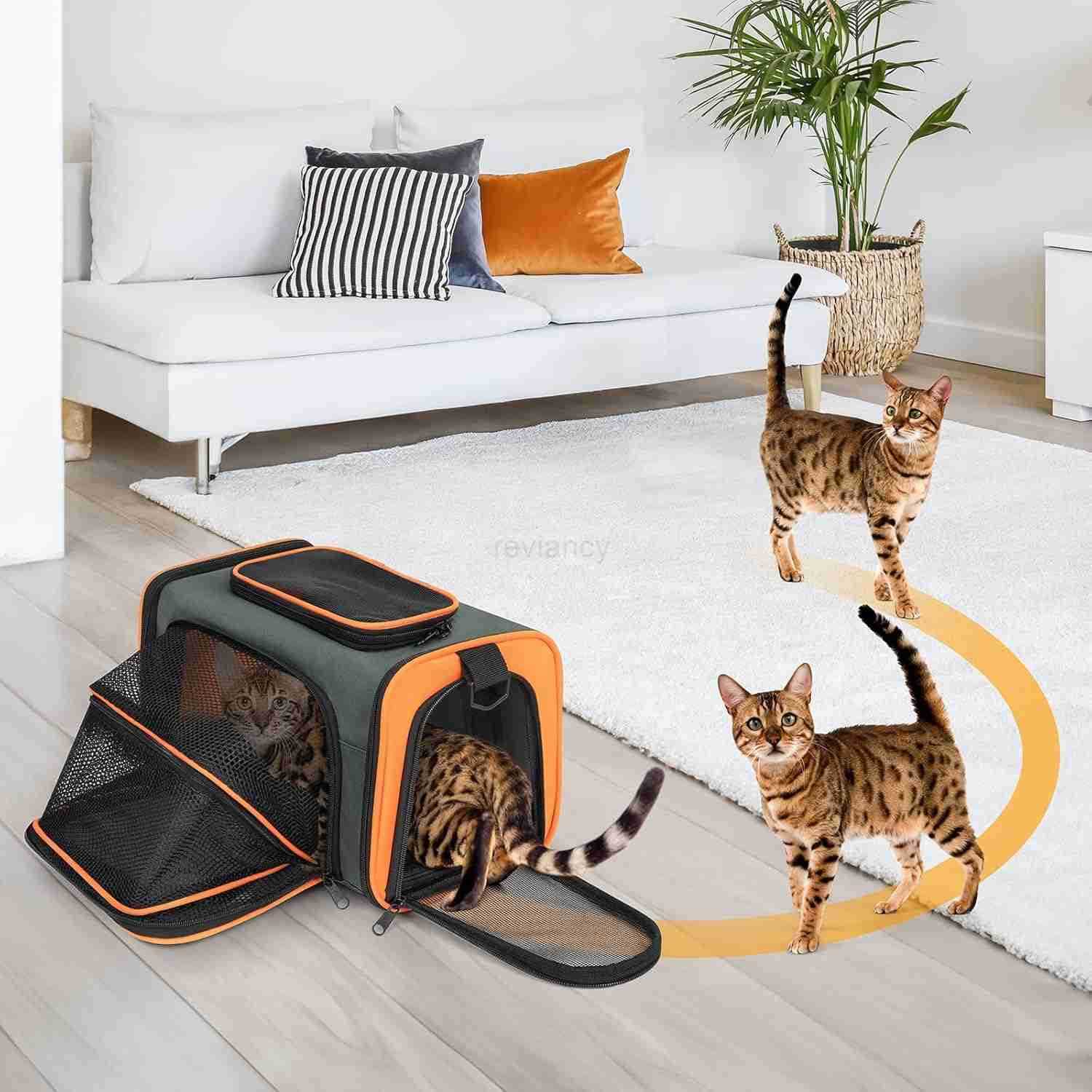 Pet Carrier Airline Approved Soft Sided Collapsible Portable Pet Travel Carrier Foldable Waterproof Cat Carrier with Removable Pad for Small Cats and 