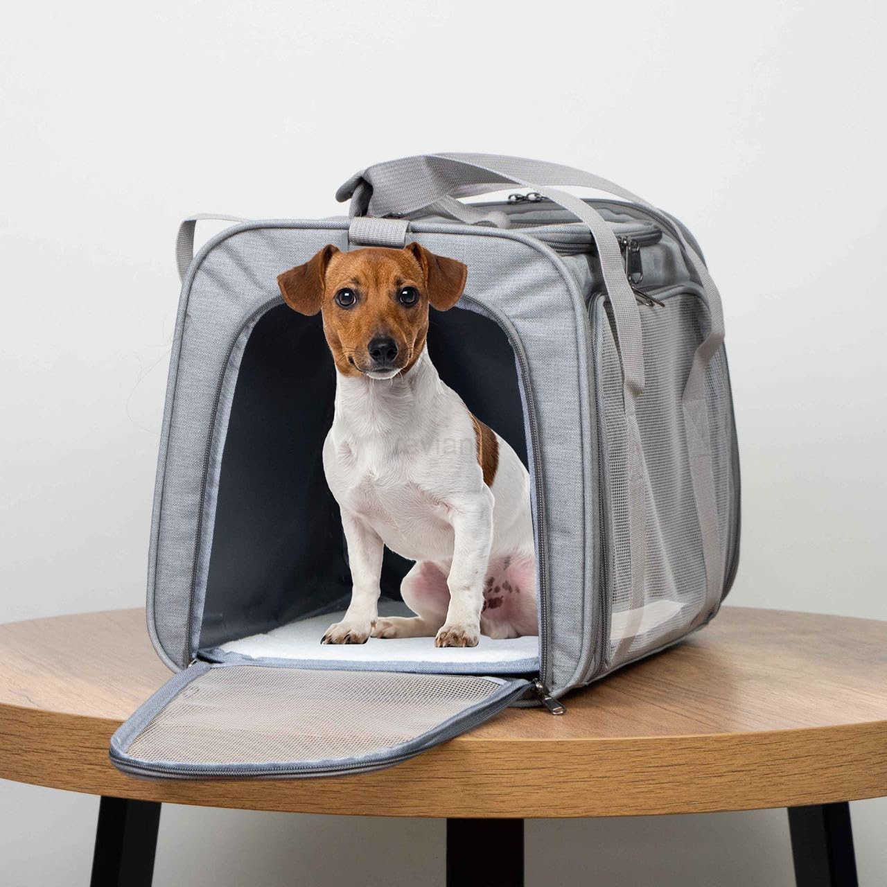 Airline Approved Soft Sided Pet Carrier for Small and Medium Dogs Cats and Puppies Up to 15 lbs Collapsible Portable Travel Bag for Dogs Cats GreyW250