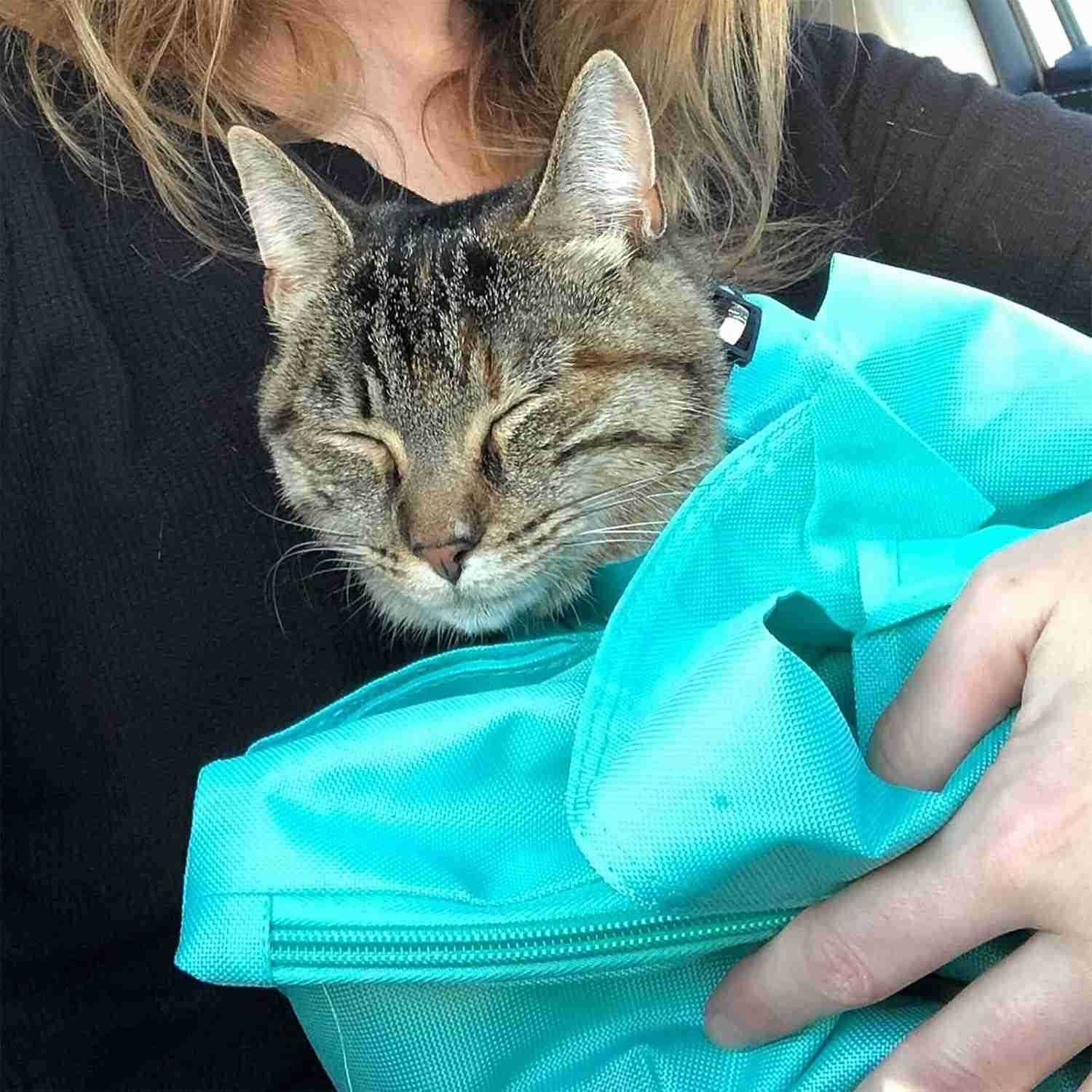 Cat Carrier Pouch Aberfields Cat Carrier Douch Cat Nail Clipping Cleaning Grooming Restraint Bag Very Suitable for Going Out with a KittenW250912