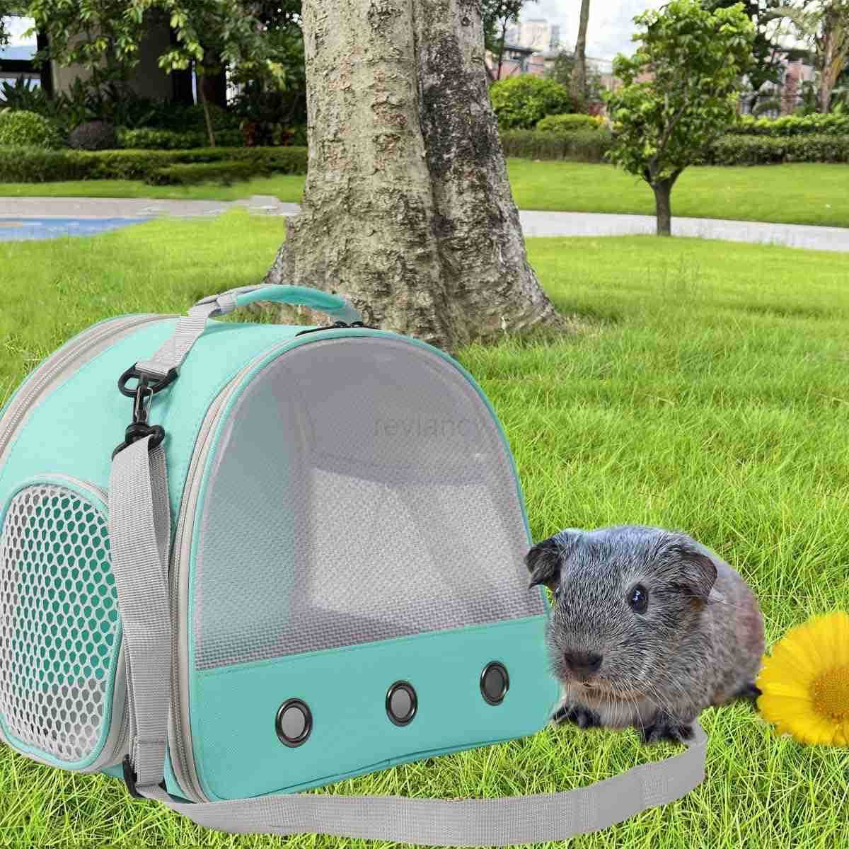 Bearded Dragon Travel CarrierLizards Carrier Small Animal Travel Carrier for Sugar Glider Hedgehog Rat Parrot Bird Guinea Pig Portable Guinea Pig Trav