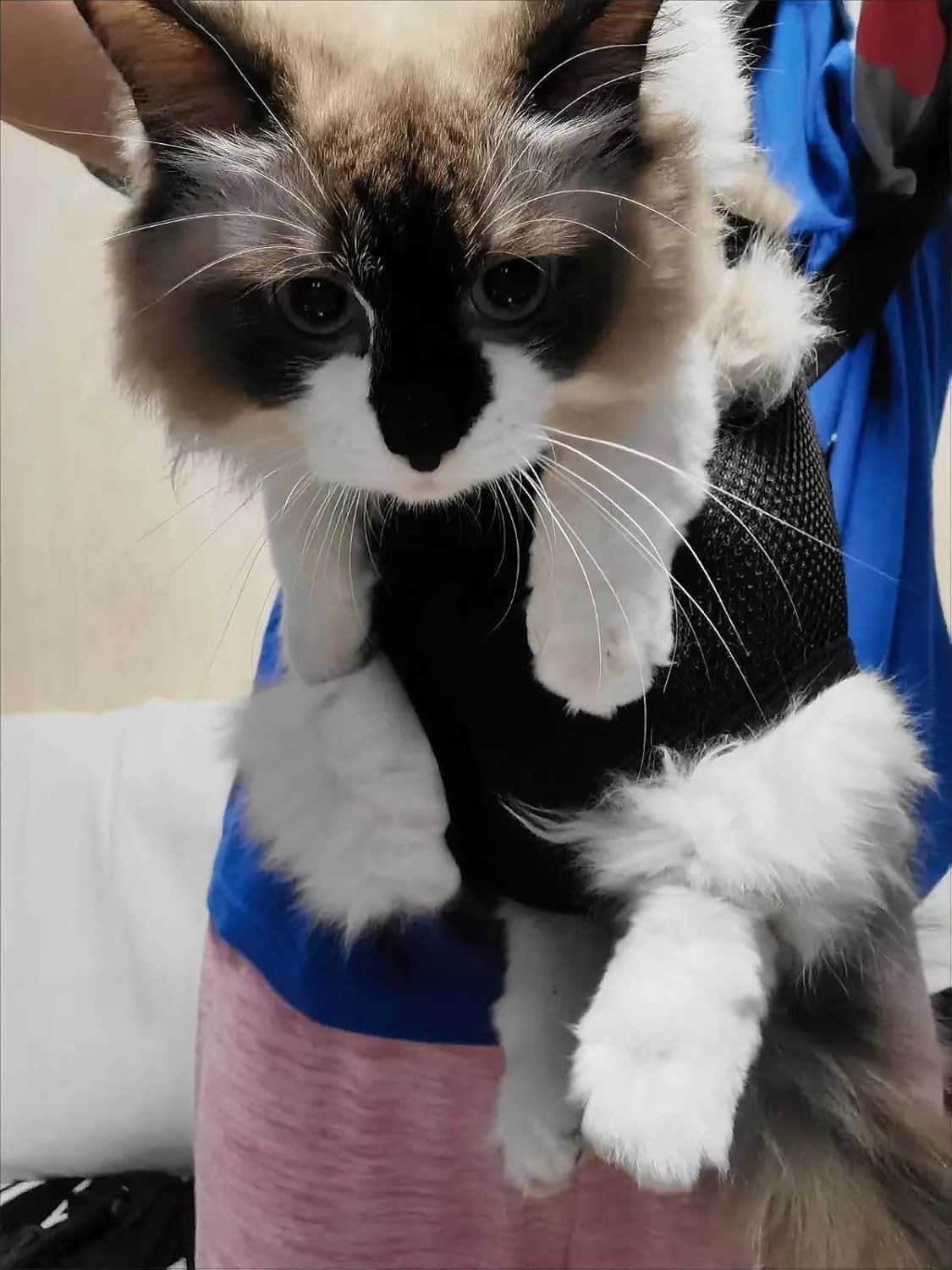 Pet Carrier Backpack Adjustable Pet Front Cat Dog Carrier Backpack Travel BagLegs OutEasyFit for Traveling Hiking Camping for Small Medium Dogs Cats P