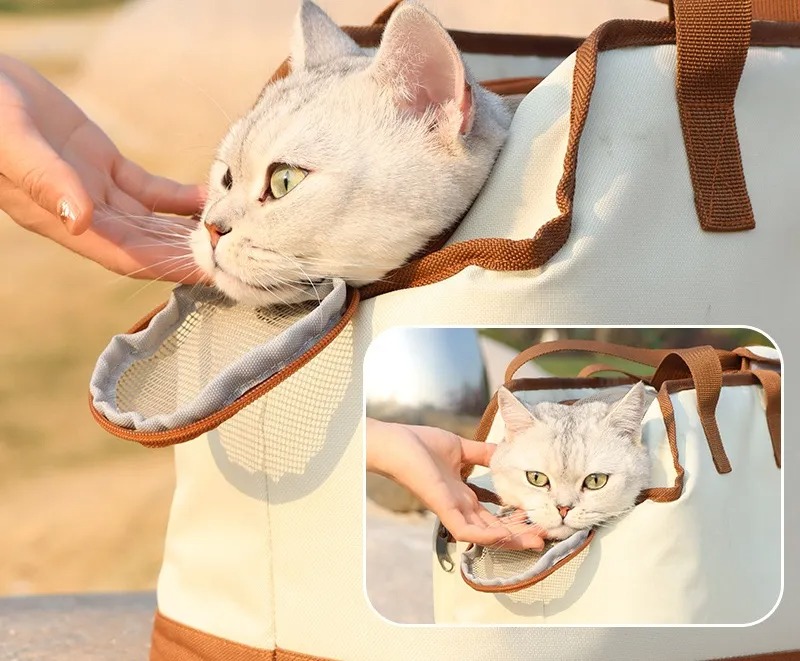 Pet carrier for small cats over 9 LBS Soft side small dog travel carrier Foldable carrying bag Sturdy transport carrier for long distance travel Pet B