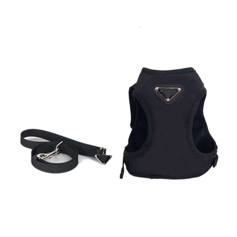 Pet Lover's Essentials: Elegant Black Leather Walking Gear Kit