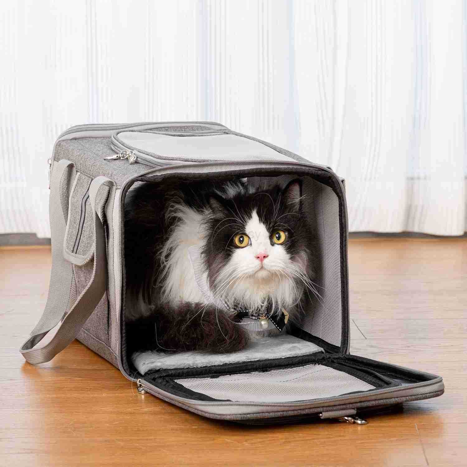 Pet Carrier for Large and Medium Cats 177X 106X 106in Carriers for 2 Kitties AllSided Mesh Cat Carrier with Great Ventilation Portable Soft Sided Carr