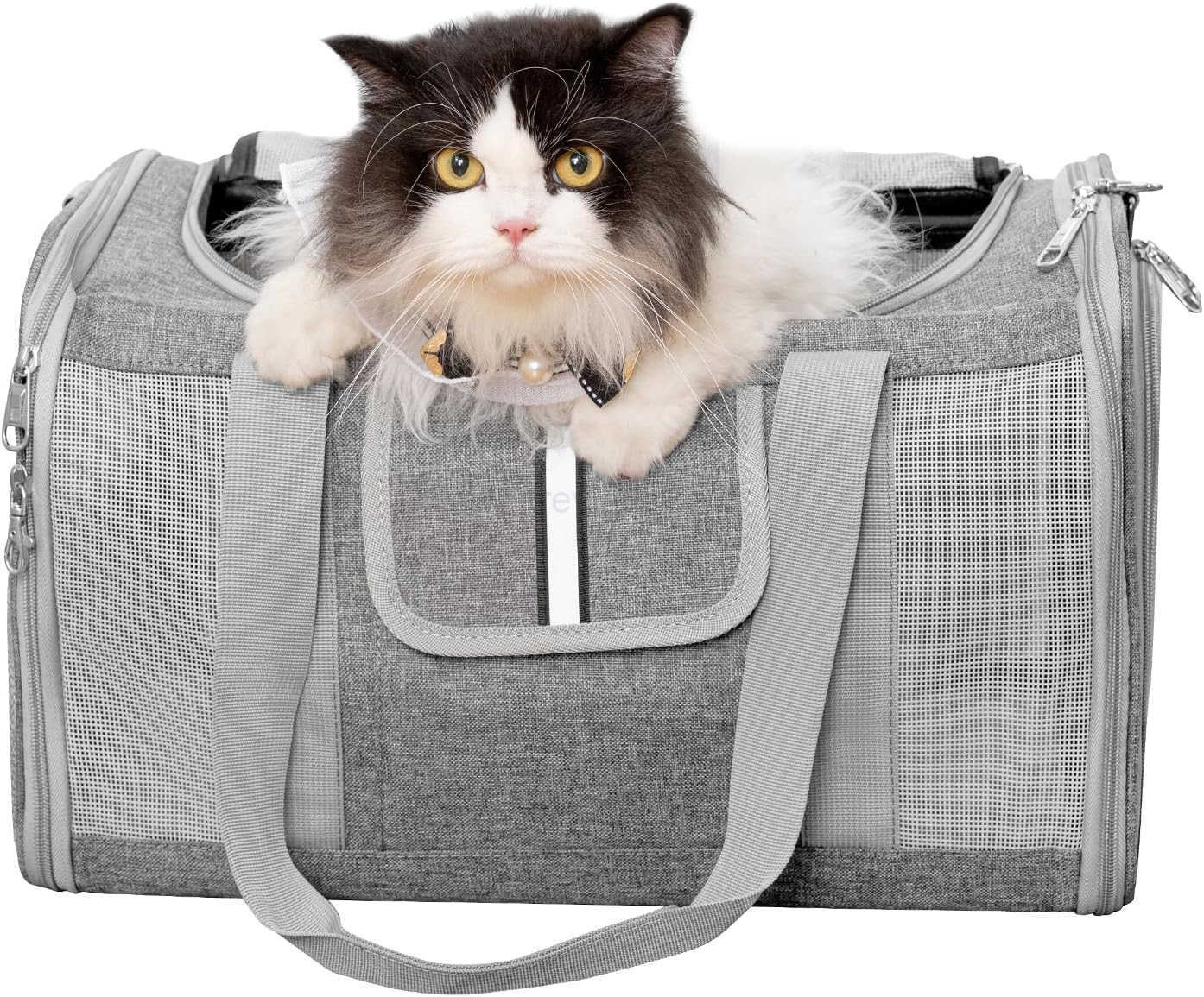 Pet Carrier for Large and Medium Cats 177X 106X 106in Carriers for 2 Kitties AllSided Mesh Cat Carrier with Great Ventilation Portable Soft Sided Carr