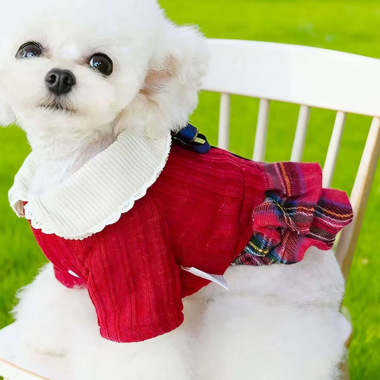 T1191 Pet Apparel Collection: Cozy Fall-Winter Outfit Perfect Fit for Miniature Pets including Terriers