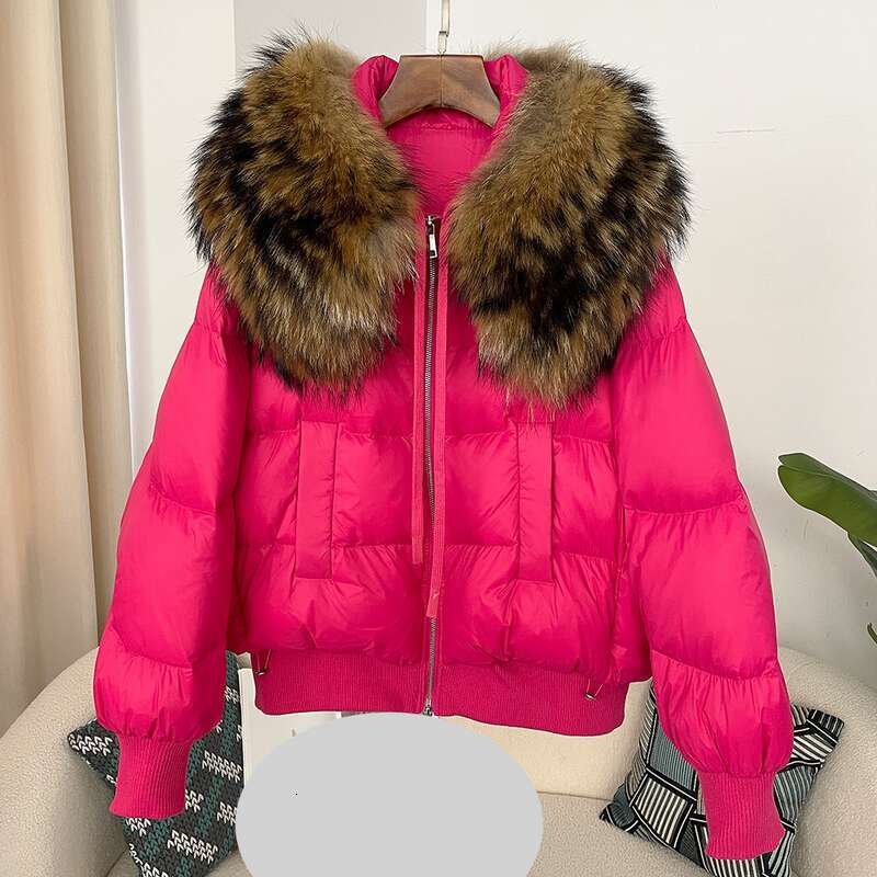 Clothing Oversized Raccoon Fur Collar Winter Women's Short Thickened White Duck Down Jacket Flat Coat