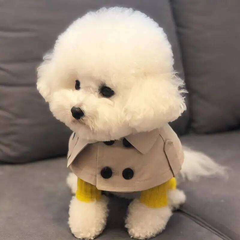 Dog shawl Fashion Pet Clothing Cape Pets Costume British Style Cloak Windbreaker CorgiFrench Bulldog Bib