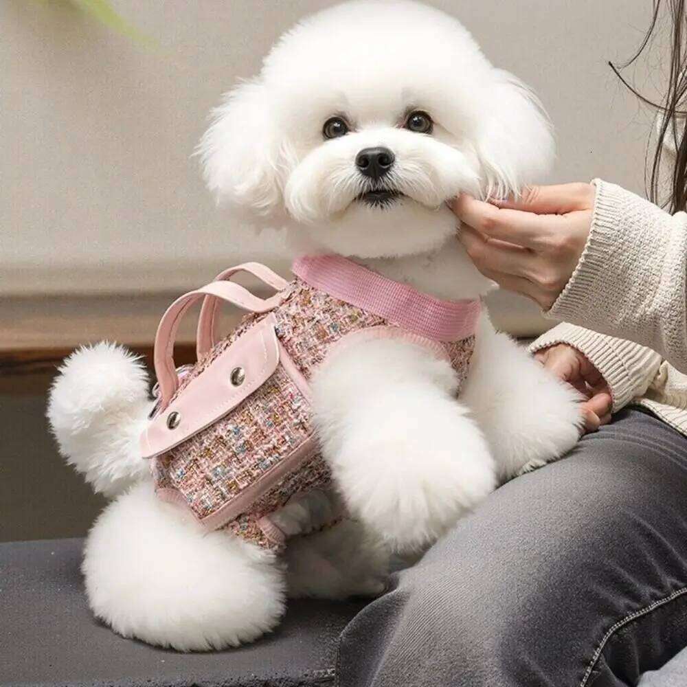 Stylish Dog Horizontal with Leash Handle Elegant Pet Traction Backpack Breathable Edge-wrapped Cat Carrier Bag