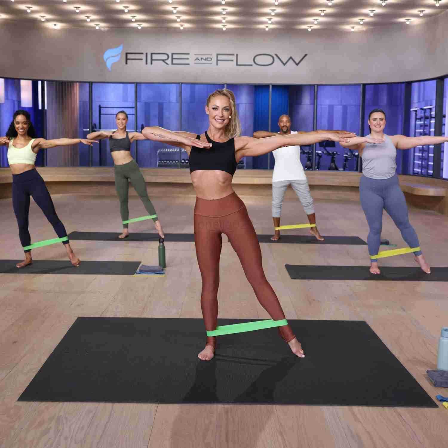 Resistance Bands for Booty and Thigh Workouts Unisex Strength Workout Exercise Loops for Women Men Light Medium Heavy Resistance LEvels 12 Inch 3 Pack