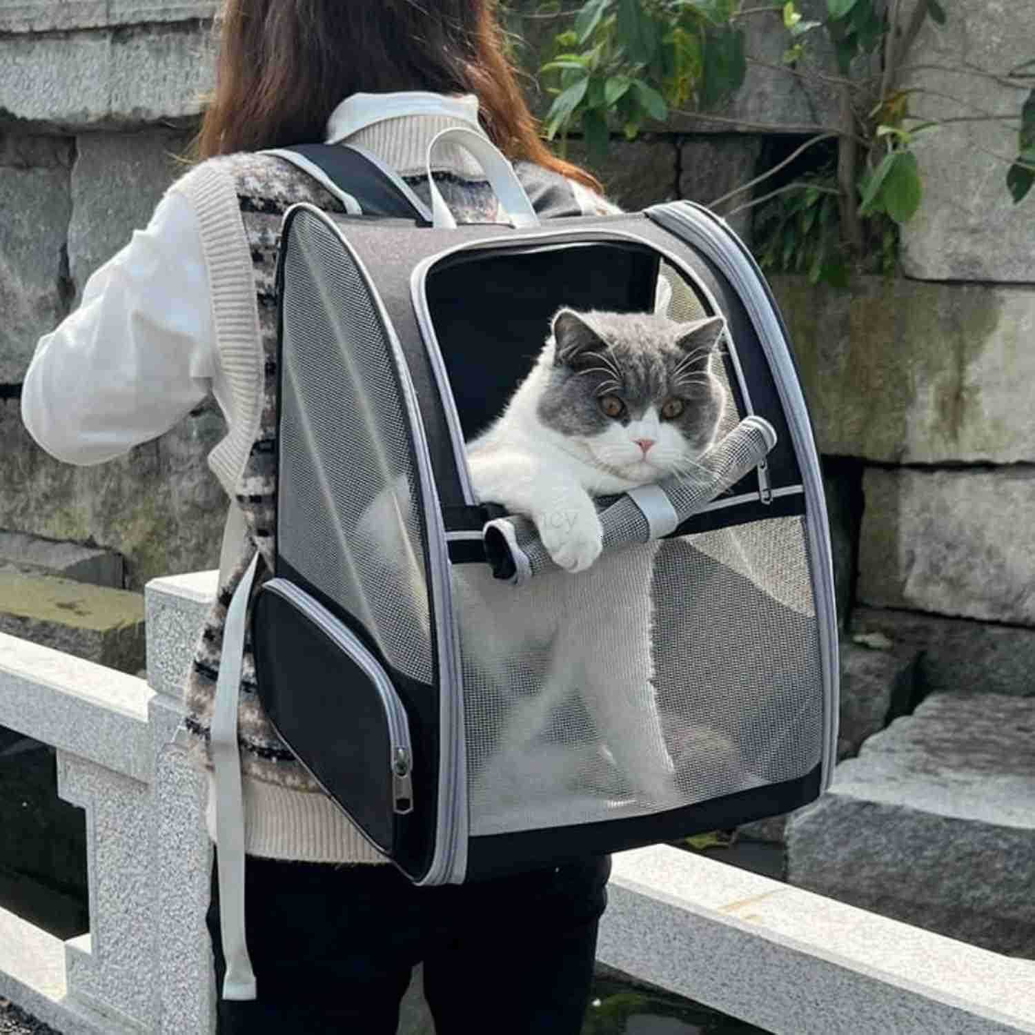 Cat Backpacks Carrier Backpack for Cats to Carry Airline Approved Pet Carriers for Small Dogs Dog Travel Backpack Carrier Kitten Backpack Carrier for 