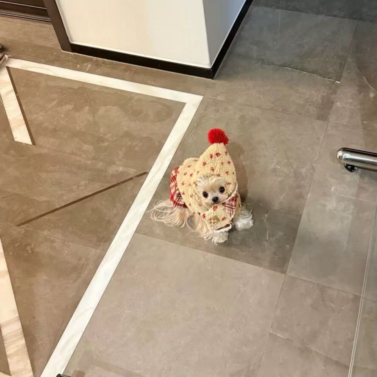 T1194 Autumn and winter double-layer thickened small and medium-sized dog clothes for Teddy, Bichon, Corgi, French bulldog, pet cat clothes and access