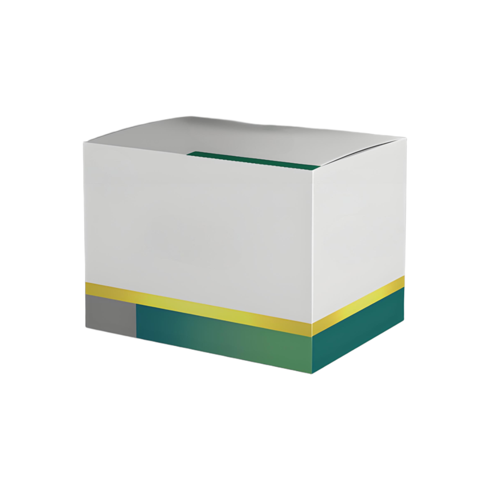 Customizable Pharmacy Package Solution: Recyclable & Sturdy Paper Medication Holding Case