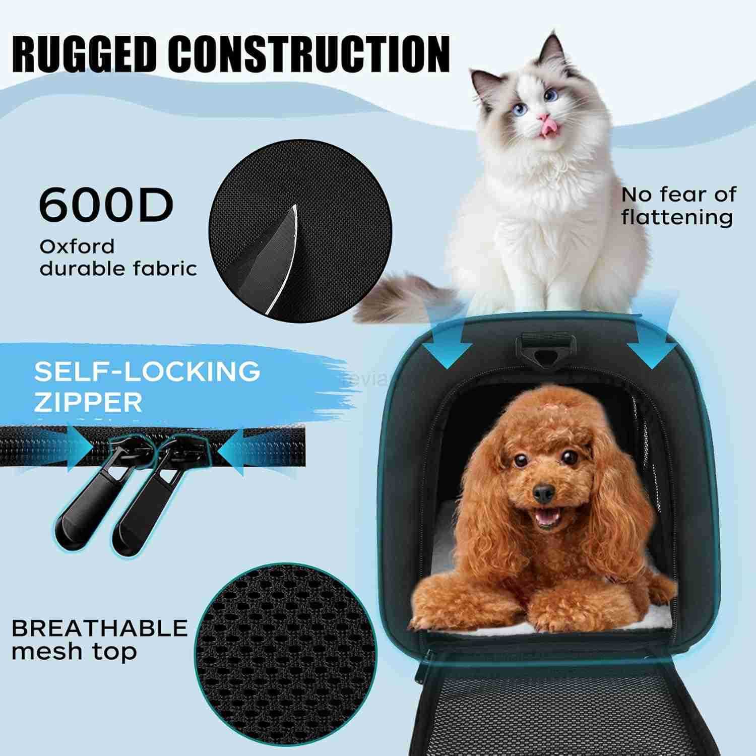 Cat Dog Carriers SoftSided Pet Travel Carrier for Small Cats Dogs Under to15lbs SoftSolid Collapsible CarrierMediumGreenW250912