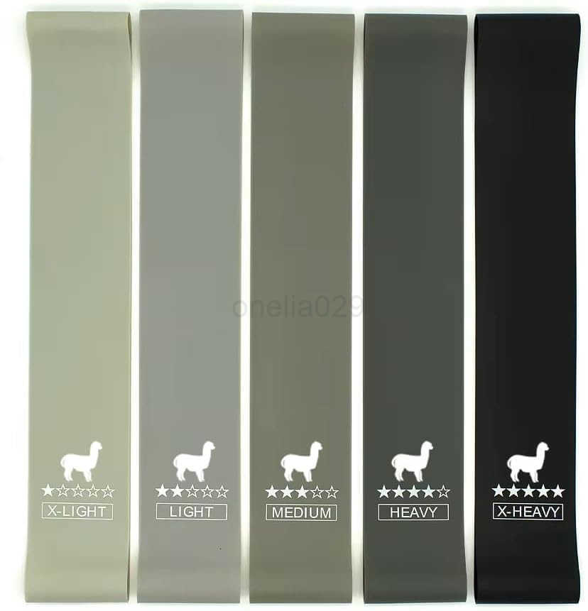 Resistance Loop Exercise Bands Set of 5 W250912