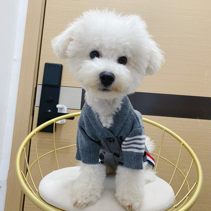 Dog Sweater Dog Cardigan Sweater Knitted Dog Sweater Classic Warm Windproof Puppy Sweater Winter Clothes for Small Medium Large Dogs CH333