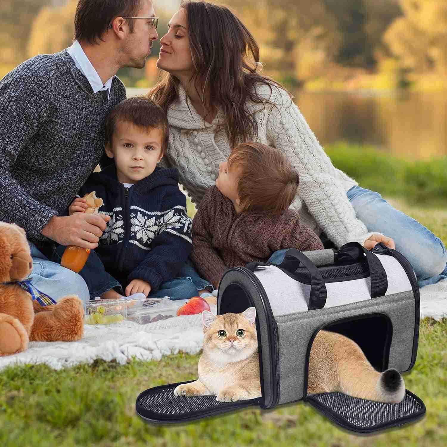 SoftSided Kennel Pet Carrier for Small Dogs Cats Puppy Airline Approved Cat Carriers Dog Carrier Collapsible Travel Handbag Car SeatW250911