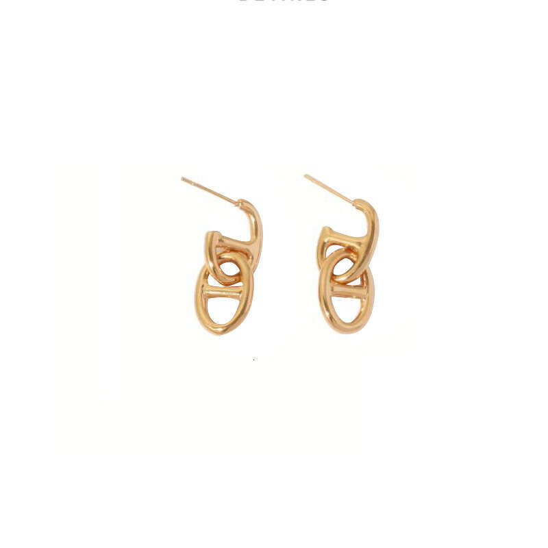 Metal Pig Nose gold Niche Design Japanese Style Hollow Geometric Oval Hoop Earrings 2023