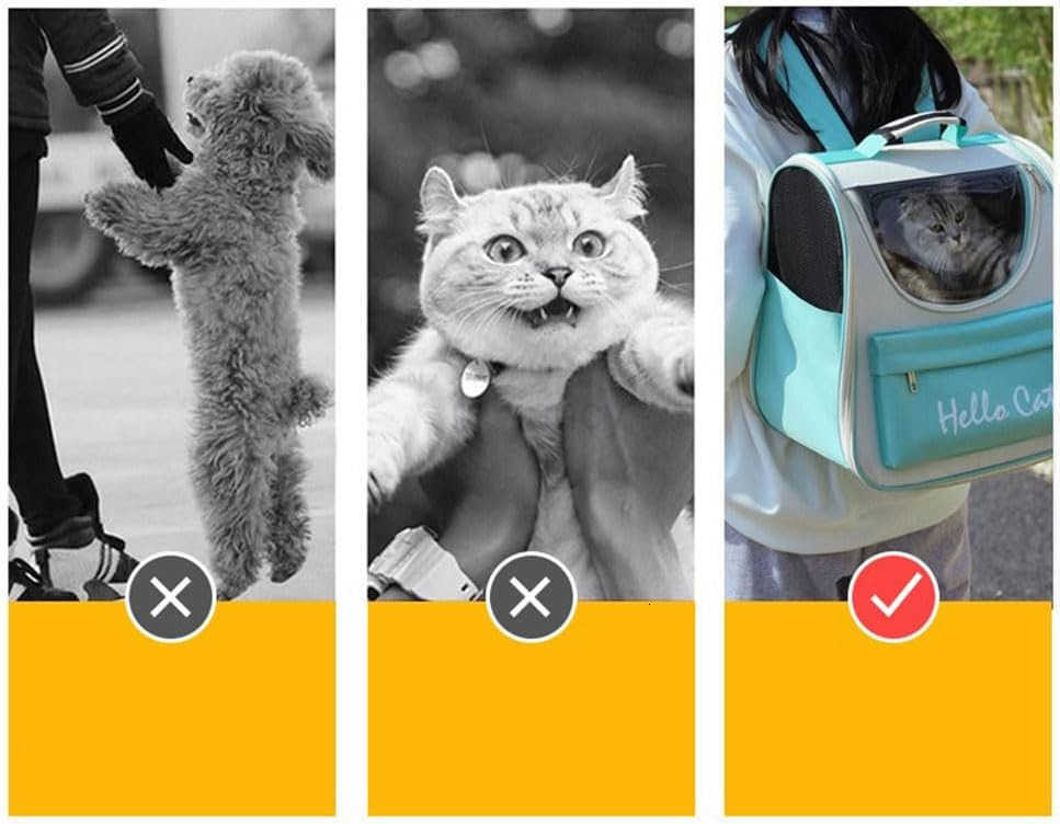 Pet Carrier Backpack Stylish Candy Color PVC Oxford Fabric Fits Cats and Dogs Under 15KG ThreeSided Mesh Design Ideal for Travel Hiking and AirlineApp