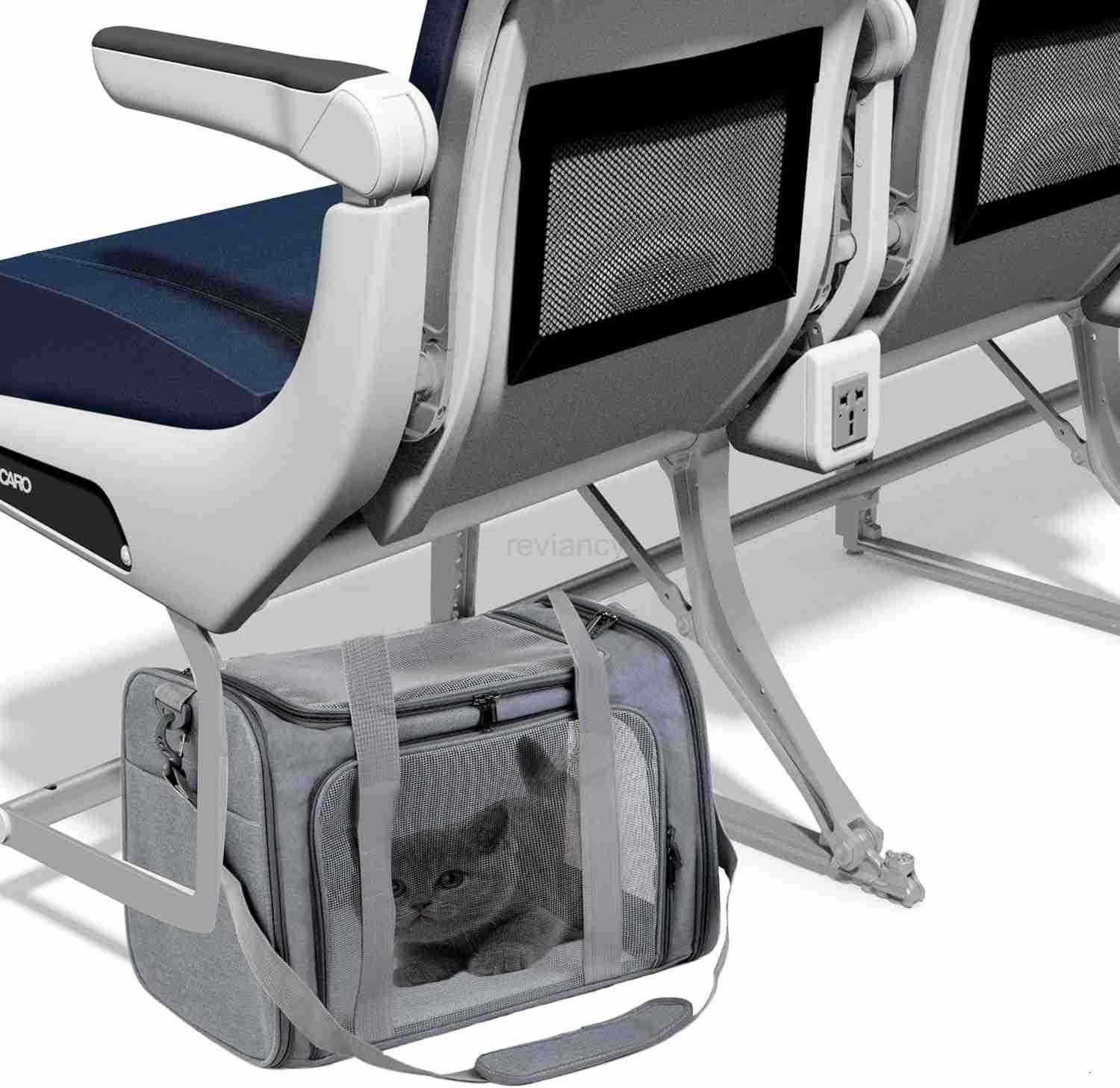 Airline Approved Soft Sided Pet Carrier for Small and Medium Dogs Cats and Puppies Up to 15 lbs Collapsible Portable Travel Bag for Dogs Cats GreyW250