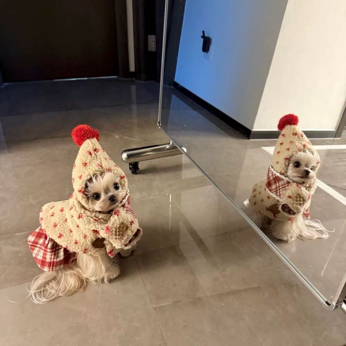 T1194 Autumn and winter double-layer thickened small and medium-sized dog clothes for Teddy, Bichon, Corgi, French bulldog, pet cat clothes and access