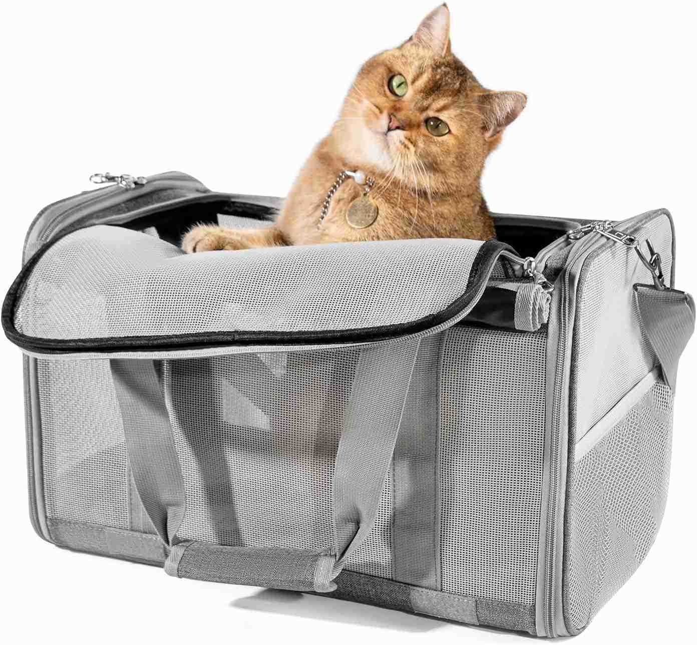 Pet Carrier for Large and Medium Cats 177X 106X 106in Carriers for 2 Kitties AllSided Mesh Cat Carrier with Great Ventilation Portable Soft Sided Carr