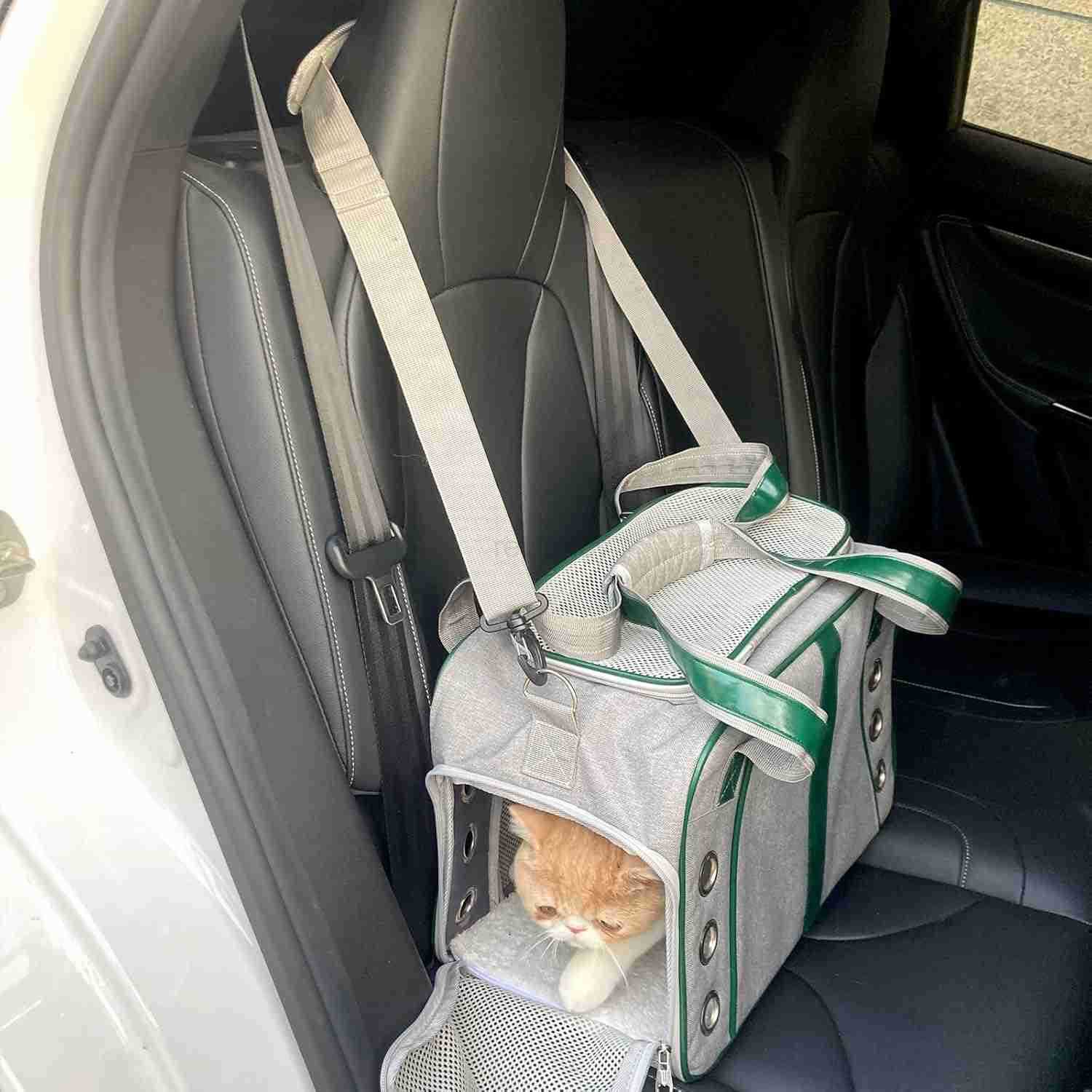 Cat Carrier for Large and Medium Cats Under 18lb Collapsible Soft Sided Pet Carrier Dog Carrier Airline Approved for Cats Small Dogs Kitten Pet Privac