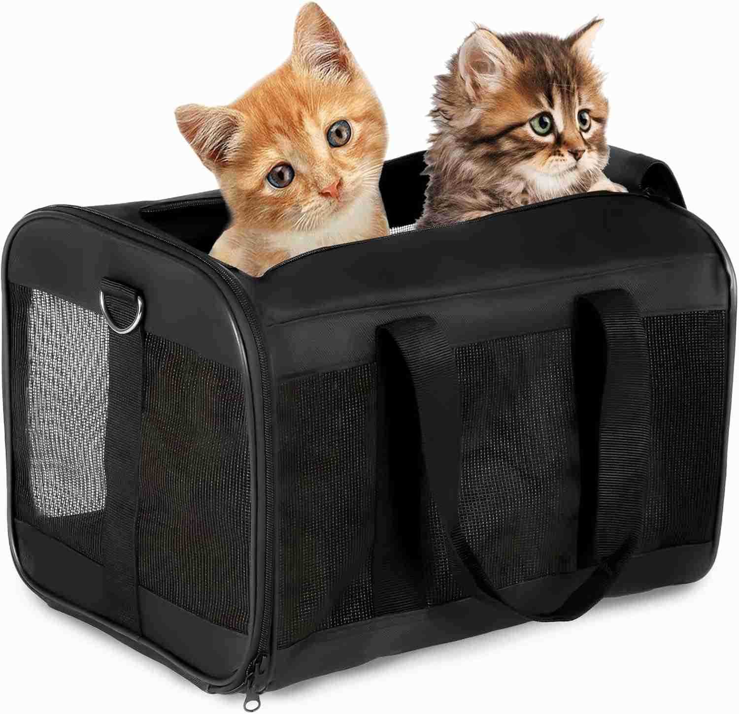 Pet Carrier for Medium to Large Cats 20 lbs and Small Dogs Top Loading Portable Collapsible Cat Travel Bag Dual Kitten Sturdy Crate for Long JourneysW