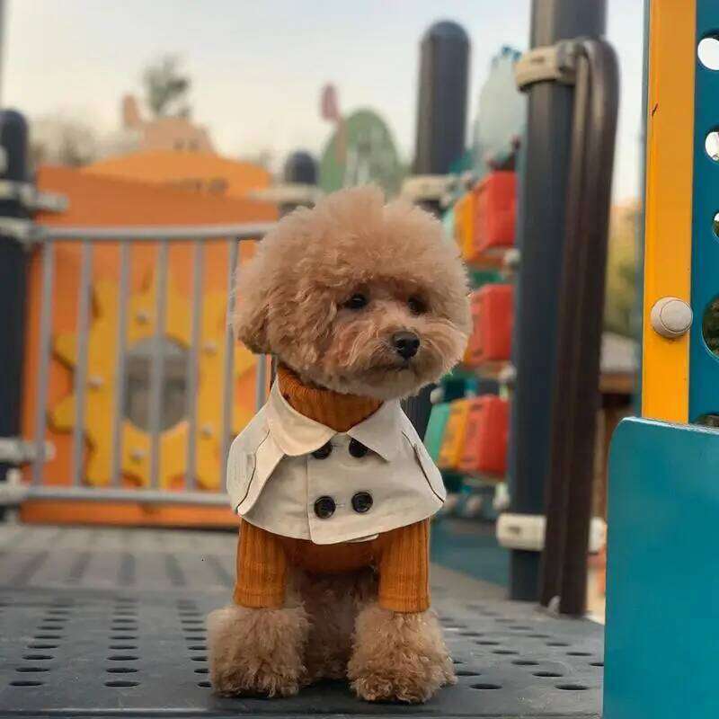 Dog shawl Fashion Pet Clothing Cape Pets Costume British Style Cloak Windbreaker CorgiFrench Bulldog Bib