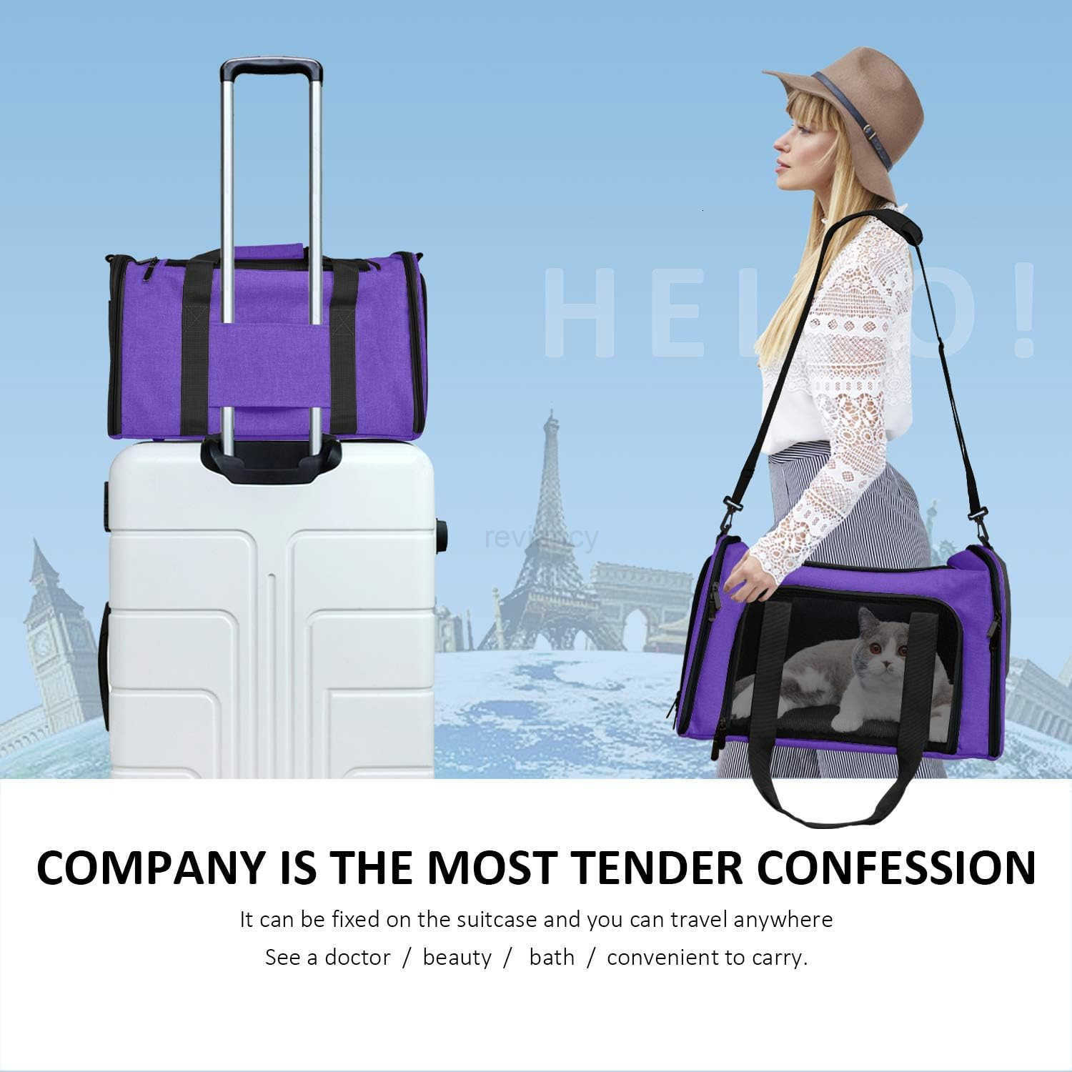 Cat Carriers Dog Carrier Pet Carrier For Small Medium Cats Dogs Puppies Up To 15lbs TSA Airline Approved Small Dog Carrier Soft Sided Collapsible Wate
