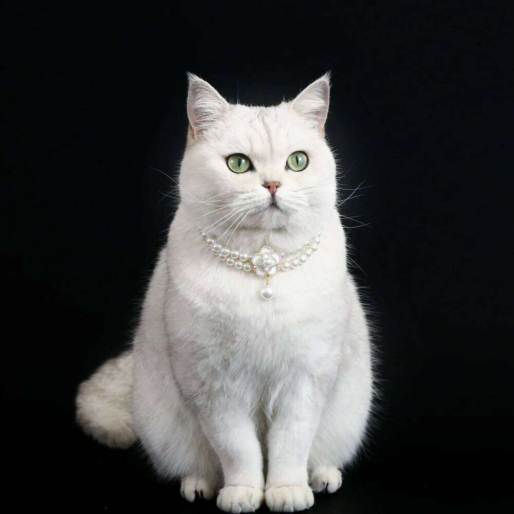 Pet Pendant Necklace designer Cat Double row Pearl Flower Collar Accessories dog Necklaces Pets Jewelry
