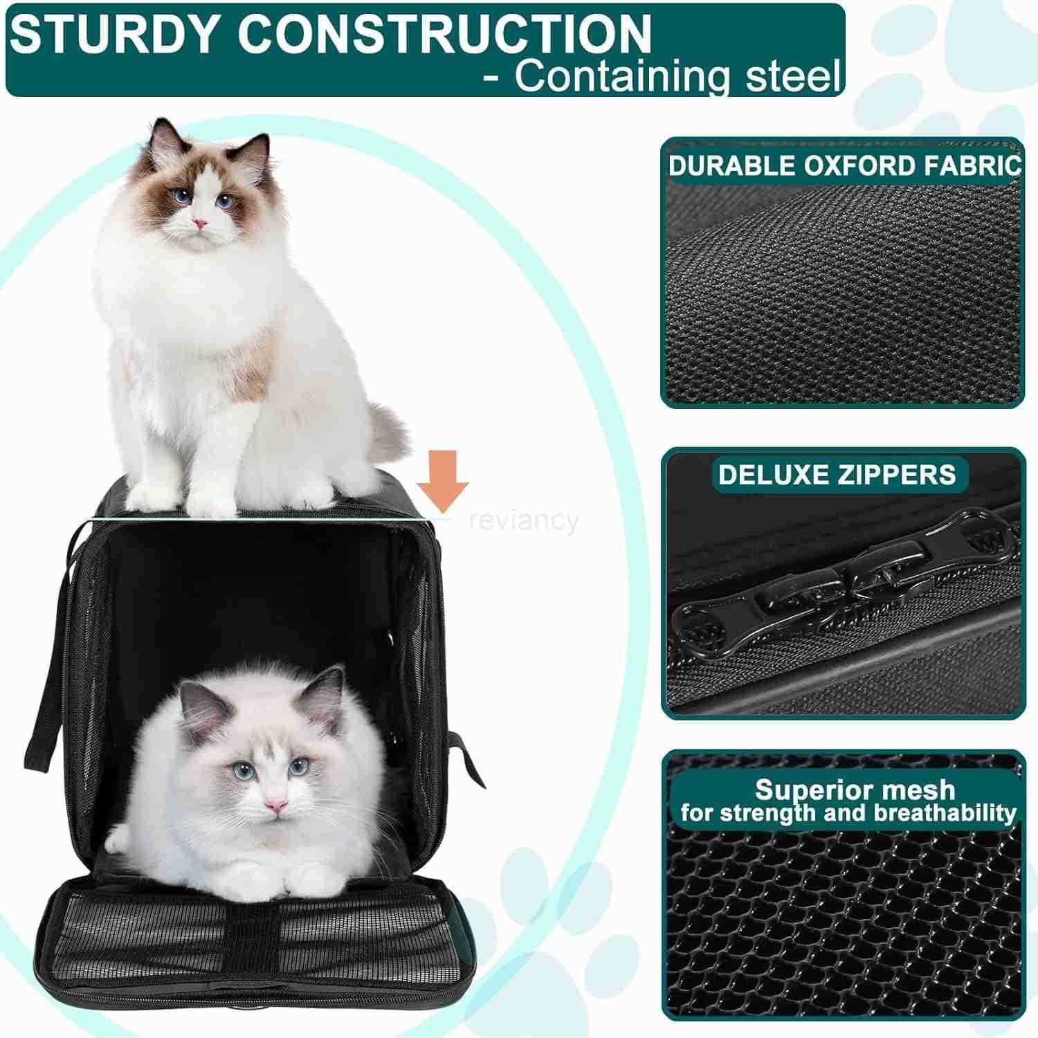 Pet Carrier for Medium to Large Cats 20 lbs and Small Dogs Top Loading Portable Collapsible Cat Travel Bag Dual Kitten Sturdy Crate for Long JourneysW