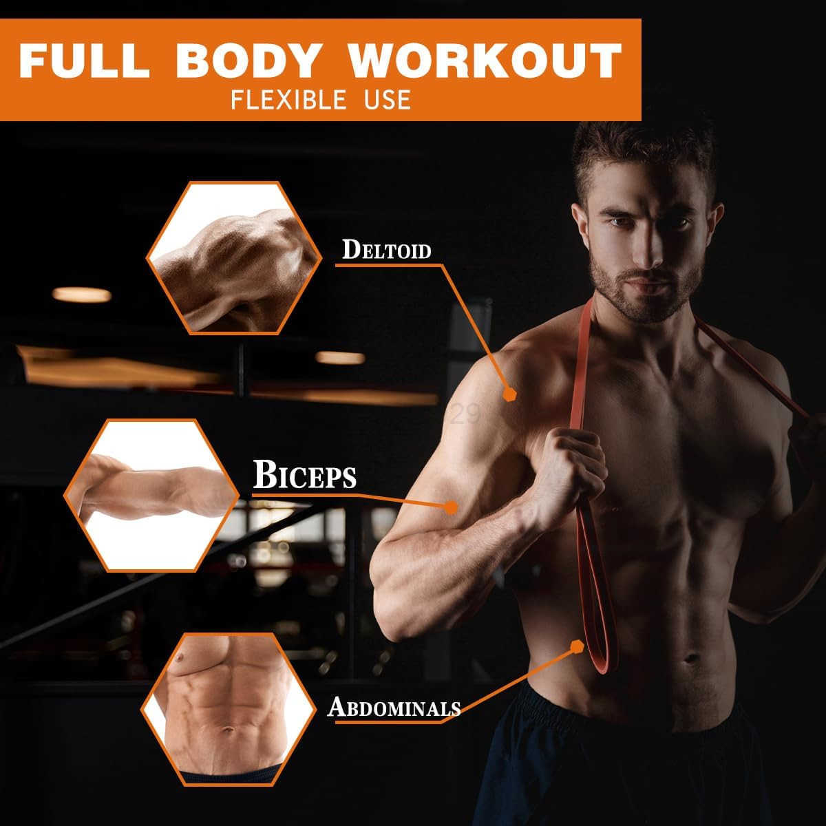 Resistance BandsPull Up BandsStretching Assist Bands Set for Men WomenPortable Exercise Muscle TrainingPhysical TherapyExercise Workout Bands for Wor 