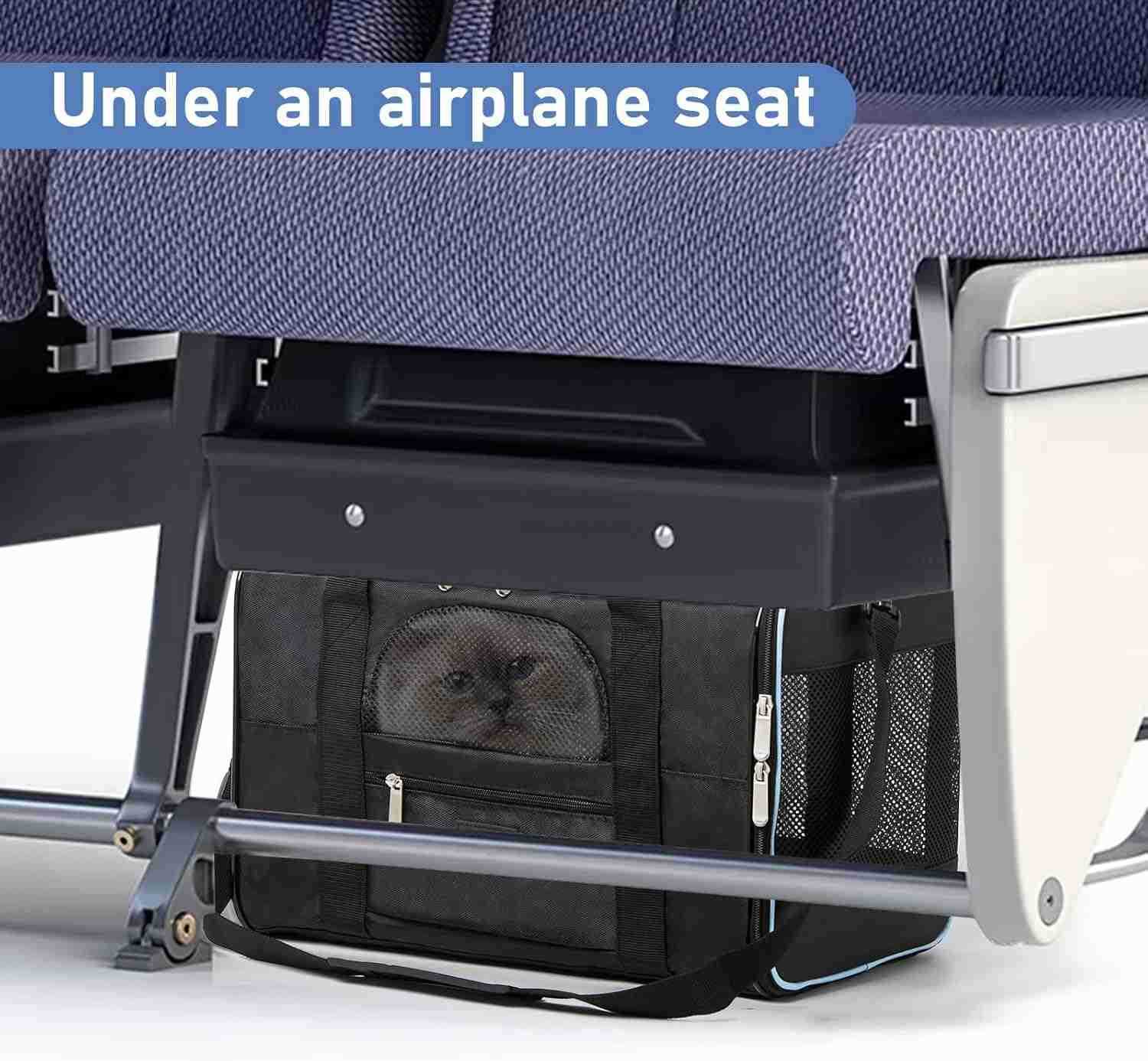 Pet Carrier for CatsSmall Dogs Under 15 Lbs17x11x11 InchesDeltaAmericanUnited Airline Approved Carriers Cats SoftSided CarriersPet Travel Carrier BagW