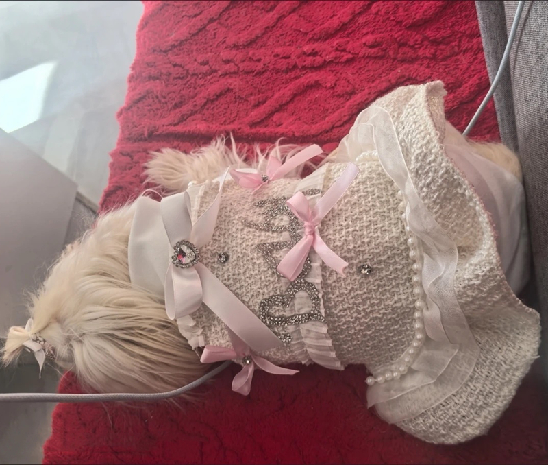 Luxry Pet Pearl Princess Dress with Rhinestone Baby Ruffled Tulle Elegant Gown for Small Dogs Maltese Bichon Yorkshire Terrier Ideal for Parties Weddi