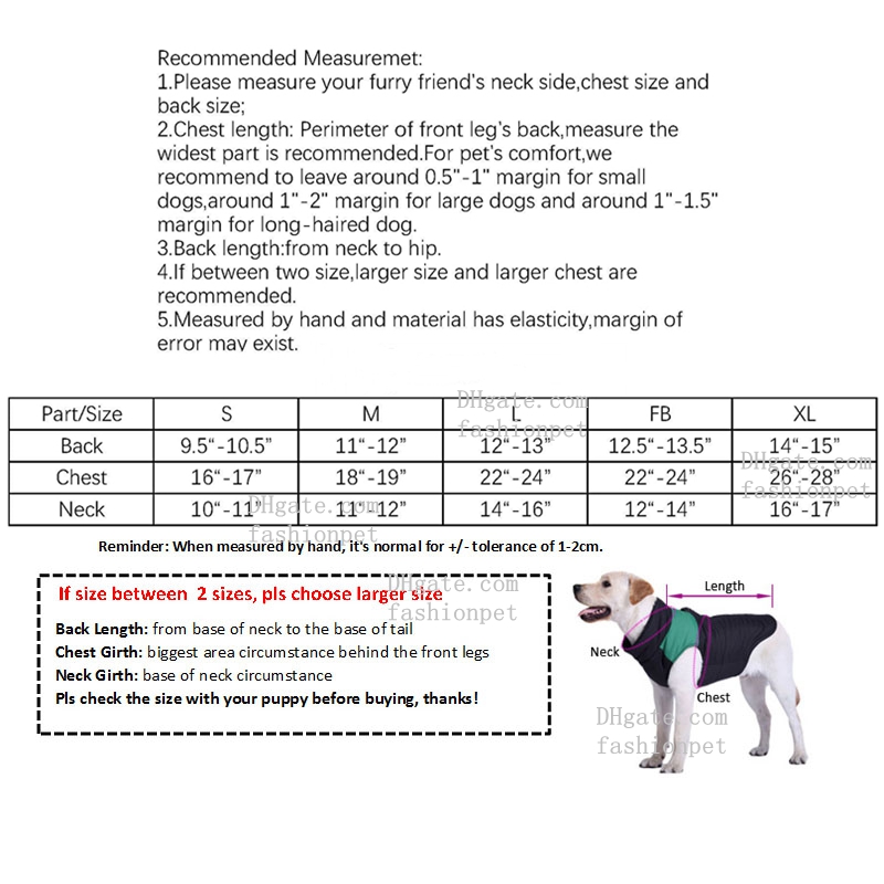 Designer Dog Clothes Superstar Retro Blue Dog Bomber Jacket, Snap Closure, Thick & Warm, 5 Sizes (S-XL) for Dogs 3-20kg, Ideal for French Bulldogs & A